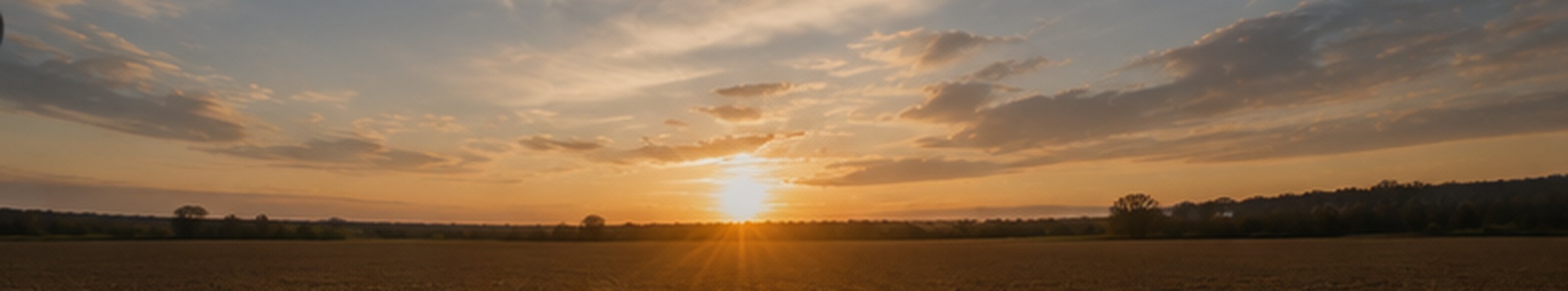 Abendhimmel über dem Feld