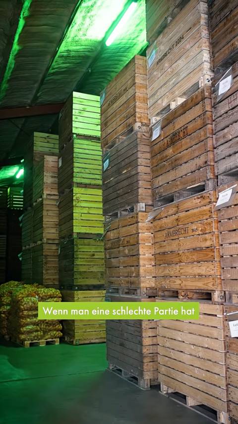 Kistenlager unter grünem Speziallicht